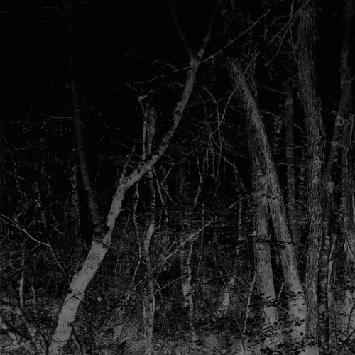 Arbre : Dans la Forêt Souveraine